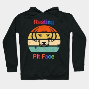 Vintage resting pit face dog Hoodie